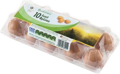 augodiatr-auga-10ada-m-53-63gr